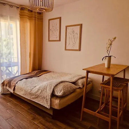 公寓 Lumineux Centre *